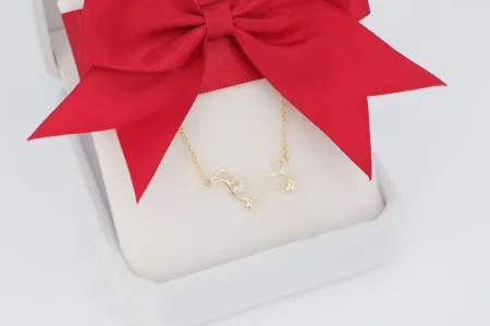 Kutyabarát Stílus Tacsi medál nyaklánccal (ány300)